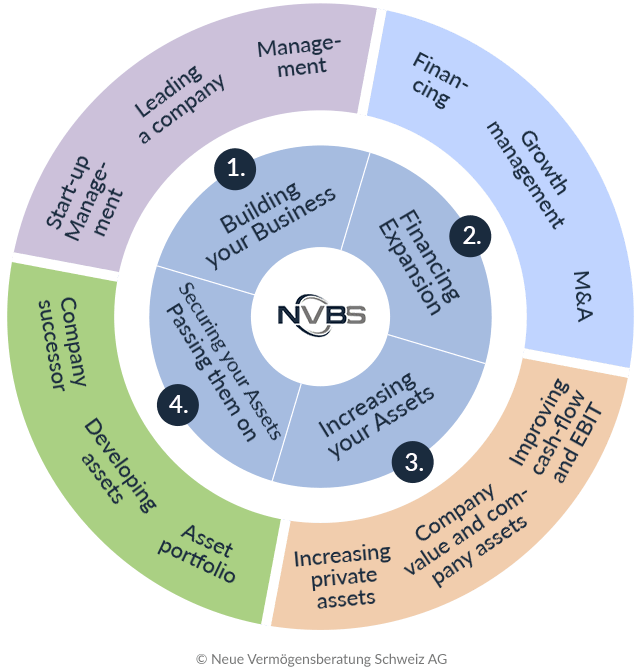 The NVBS Investment-Consulting Model for Companies and Family Offices